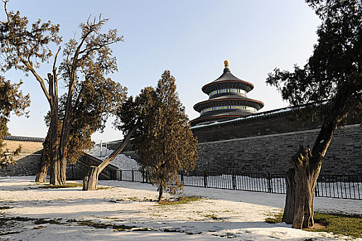 北京天坛公园祈年殿外墙柏树