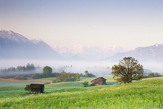 晨雾,上方,加米施帕藤基兴,巴伐利亚,德国