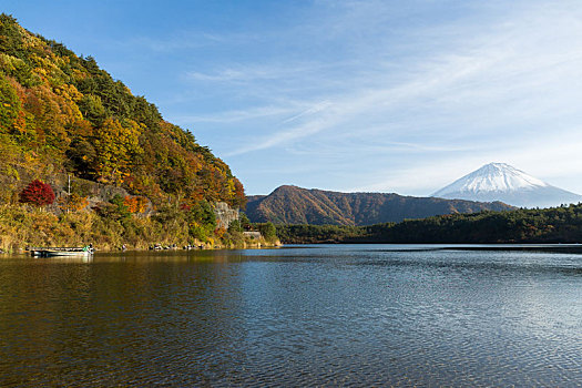 富士山,湖,秋天
