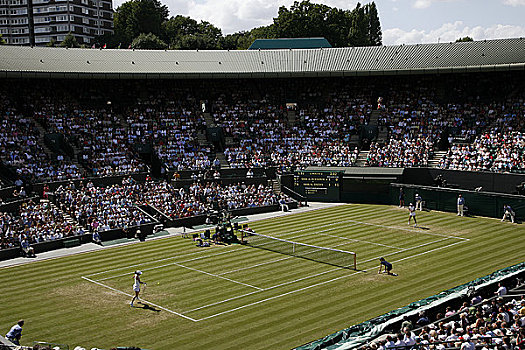 英格兰,伦敦,温布尔登,球场,网球,冠军,2008年