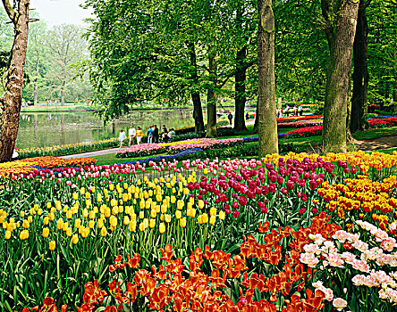 库肯霍夫公园,花园,荷兰
