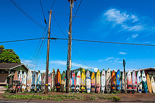冲浪板,栅栏,毛伊岛,夏威夷