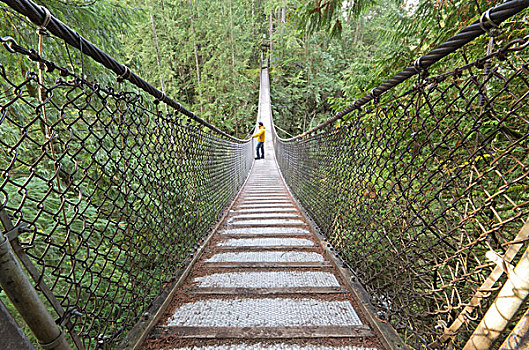 远足者,吊桥,北温哥华,不列颠哥伦比亚省,加拿大