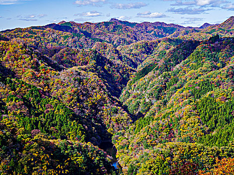 山,秋叶