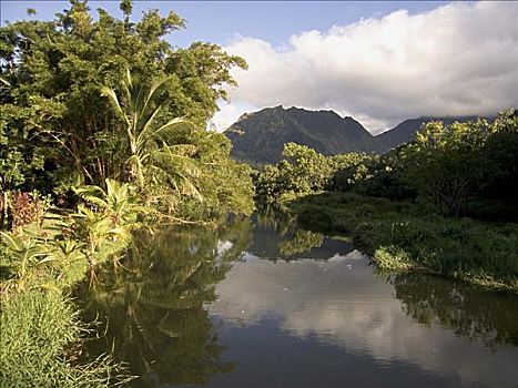 河,考艾岛,夏威夷,美国