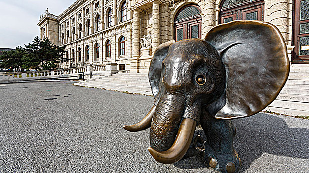 大象,雕塑,自然历史博物馆,地区,维也纳