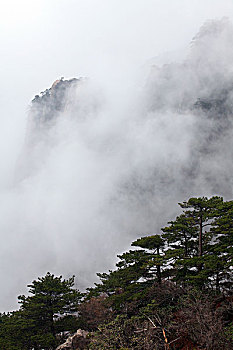 黄山,奇石,云海,壮观,名胜,风景,0023