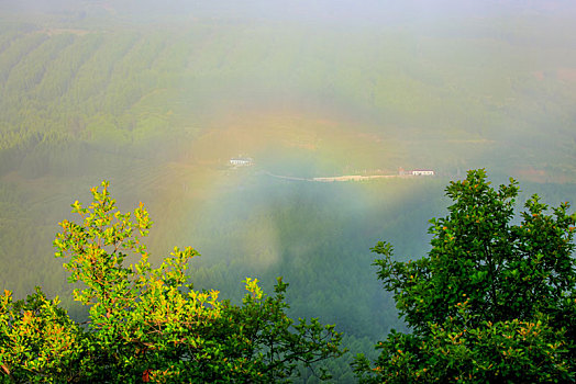 俯视森林中的彩虹