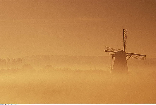 风车,雾,金德代克,荷兰