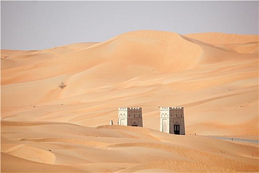 沙丘,沙漠,阿布扎比,阿联酋