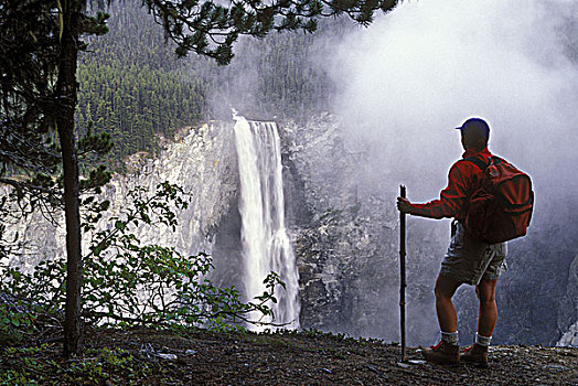 远足者,瀑布,公园,湖,小路,不列颠哥伦比亚省,加拿大