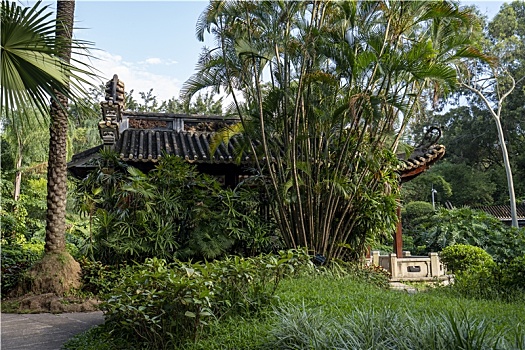 羊城广州夏天天河公园的亭台楼阁石雕隐藏在绿树里
