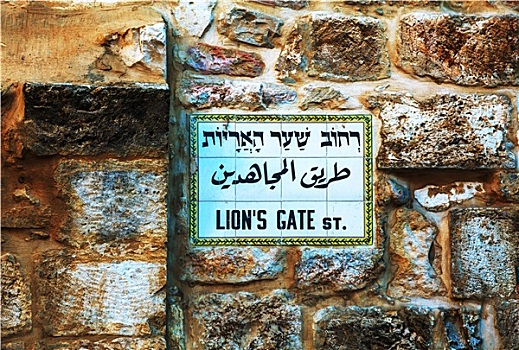 狮子,大门,路标,耶路撒冷