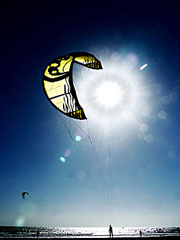 风筝冲浪,海滩,逆光,太阳,特内里费岛,西班牙,欧洲