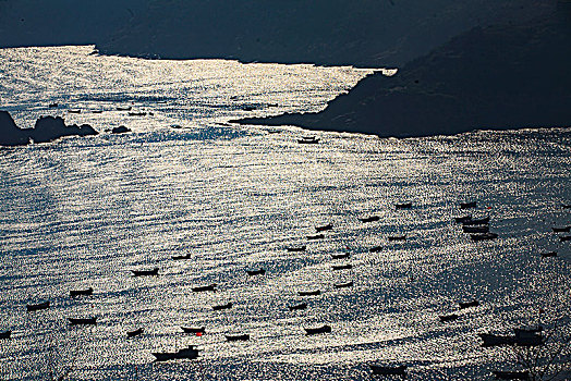 海湾,船,阳光,海岸,停泊,航行,港湾