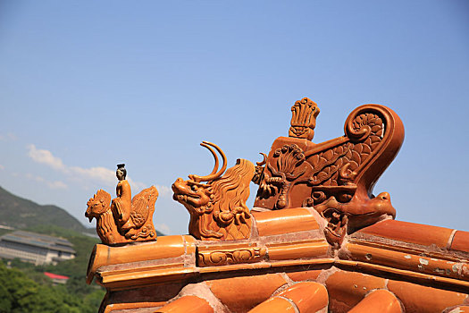 北京皇家园林颐和园四大部洲脊兽