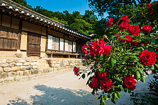 传统,木屋,民俗,乡村,靠近,庆州,韩国