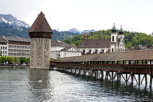 瑞士卢塞恩湖天鹅卡尔贝桥