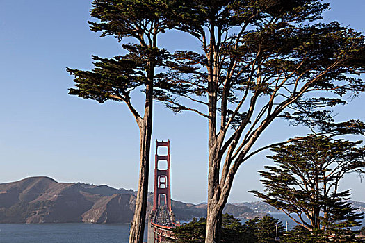 特写,金门大桥,上方,旧金山湾,旧金山,加利福尼亚,美国