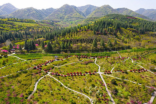 秦岭山国家植物园