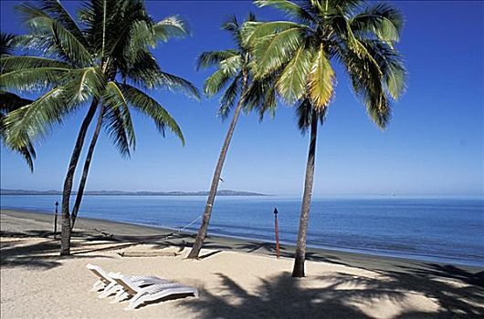 斐济,湾,胜地,白色,椅子,沙滩,棕榈树,影子