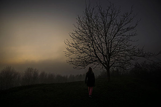 雾,女人,树