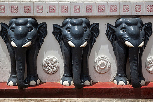 石头,大象,浮雕,庙宇,南方,省,斯里兰卡,亚洲