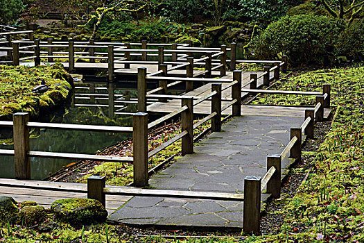 平台,栏杆,波特兰,日式庭园,俄勒冈,美国