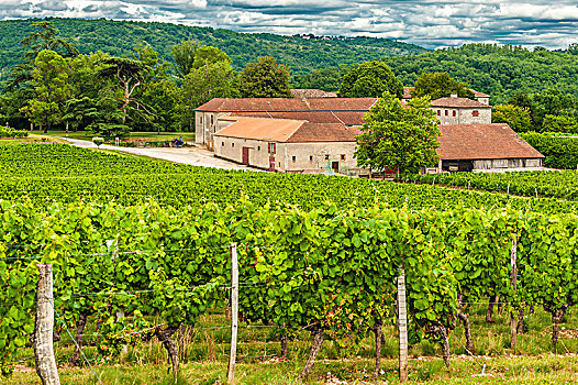 法国,卡奥尔,酒用葡萄种植区,城堡,葡萄园