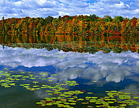 加拿大,安大略省,秋色,树,反射,公园,湖