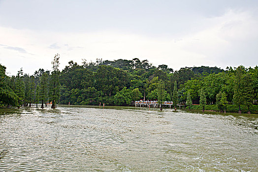 肇庆,星湖,七星岩,风景区