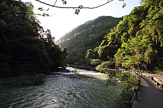 荔波美景