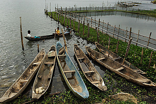 独木舟,船,湖,中心,印度尼西亚,八月,2007年