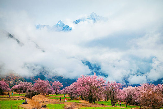 林芝,景色