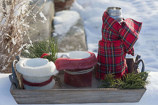 托盘,热水瓶,杯子,冬天,花园