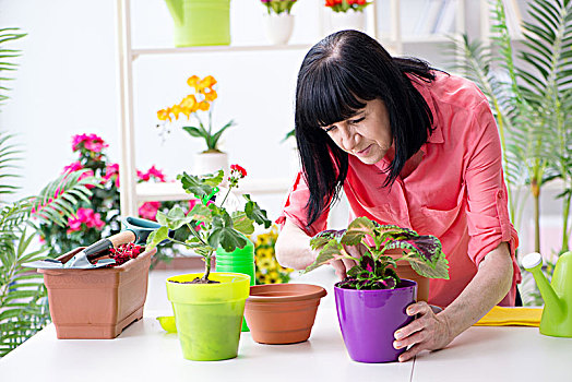 女人,花商,工作,花店