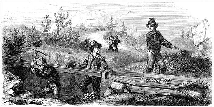 矿工,工作,长,加利福尼亚,19世纪,艺术家