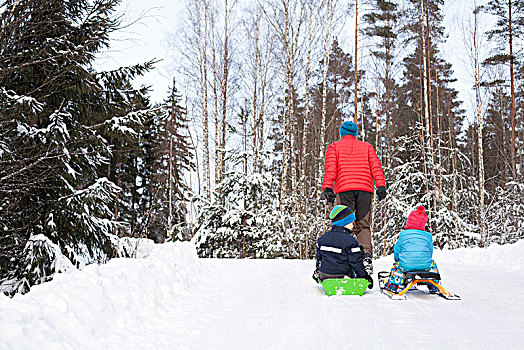 后视图,男人,拉拽,两个,儿子,积雪,树林