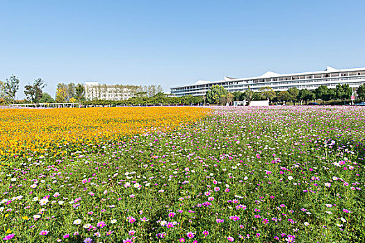 南京中医药大学药苑