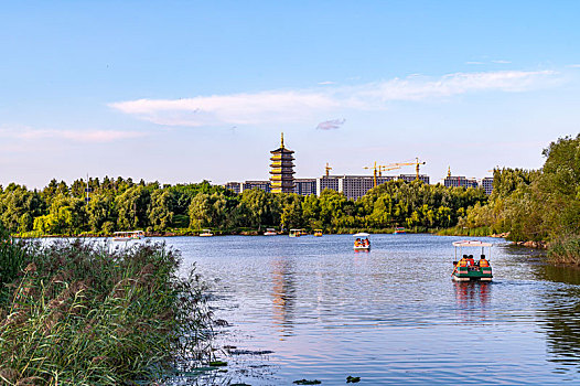 荷花盛开的长春北湖湿地公园景观