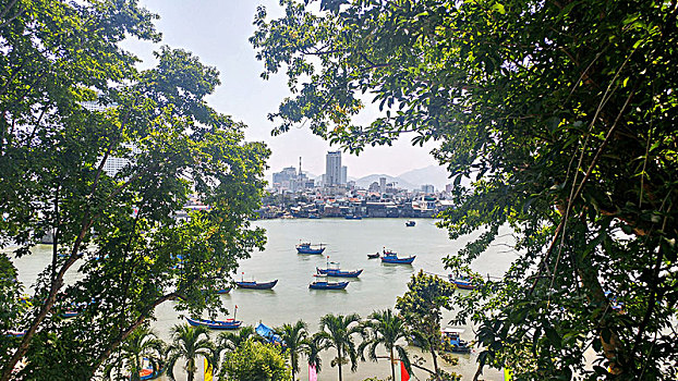 风景,芽庄,越南