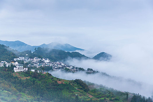 云雾坡山