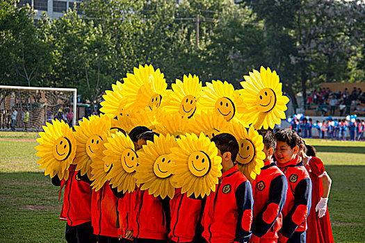 太阳花