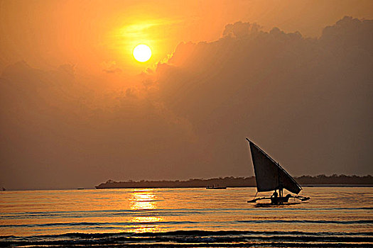 坦桑尼亚,靠近,南海岸,传统,船,日落