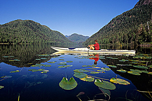 生物保护区,湖,皮划艇手,荷叶,温哥华岛,不列颠哥伦比亚省,加拿大
