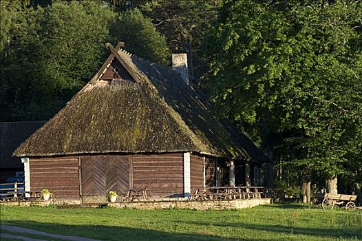 木屋,国家公园,爱沙尼亚,波罗的海国家,欧洲