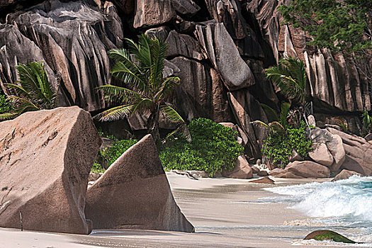 海滩,花冈岩,石头,棕榈树,拉迪格岛,塞舌尔,非洲