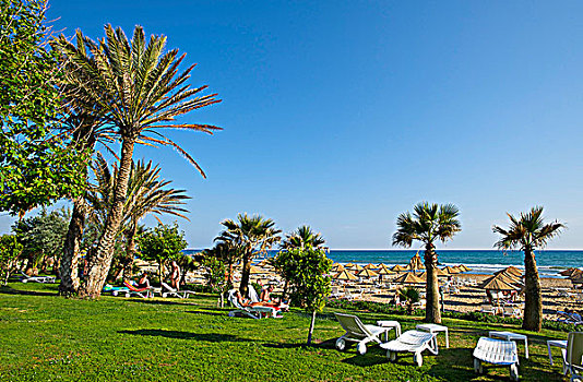 海滩,青绿色,海岸,土耳其