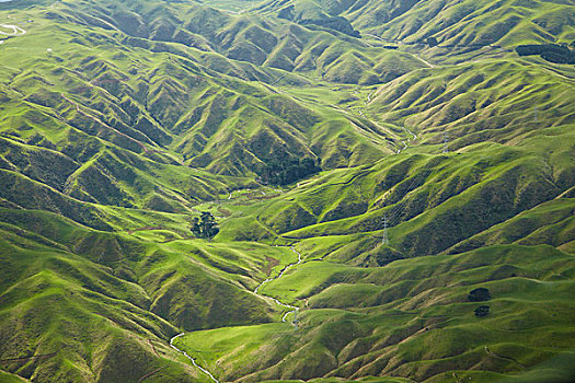 绿色,山谷,农田,靠近,惠灵顿,北岛,新西兰,俯视