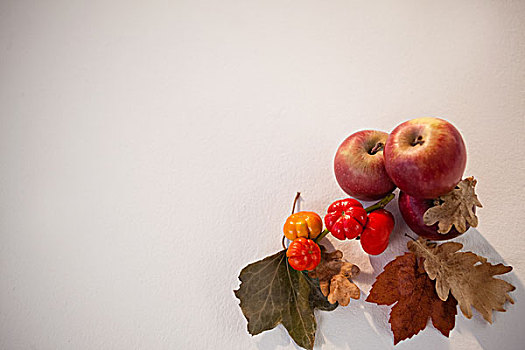 特写,红苹果,樱桃,秋叶,白色背景